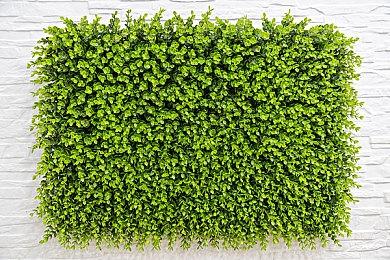 “移动版寂静岭” 《失落的记忆：复刻版》10月28日发售